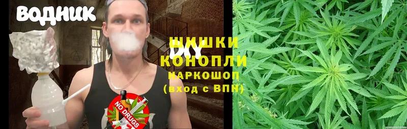 МАРИХУАНА OG Kush  где продают   Чкаловск 